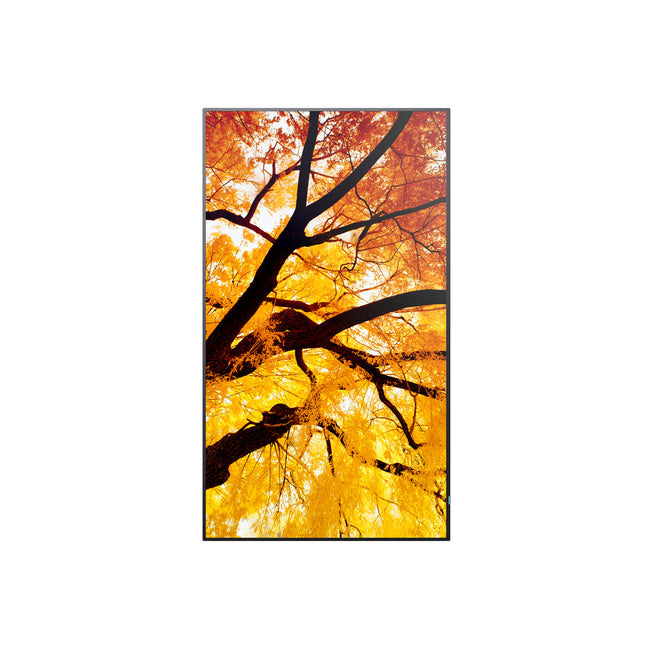 V4H83D93D47D5C06C7A552D43FDE42682ACR7466252P1