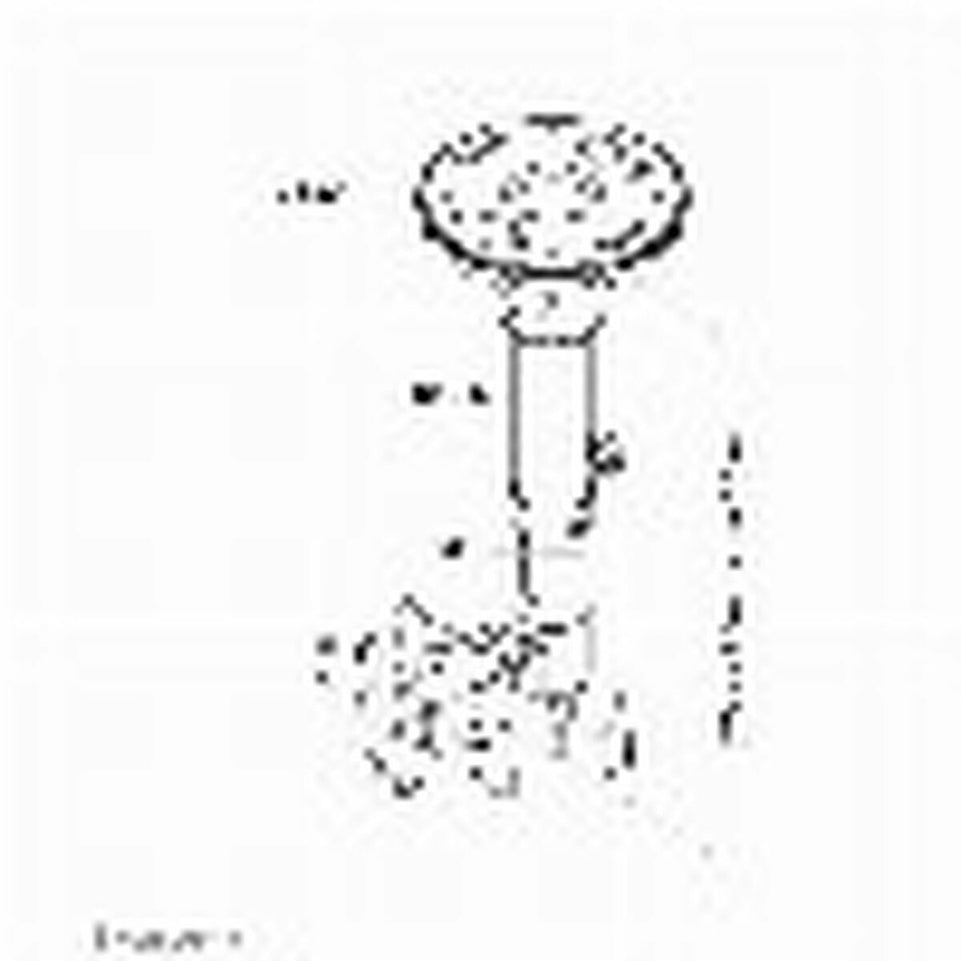 V3HEC8B293C3D6083B08332748C213BCD5BR5593314P9