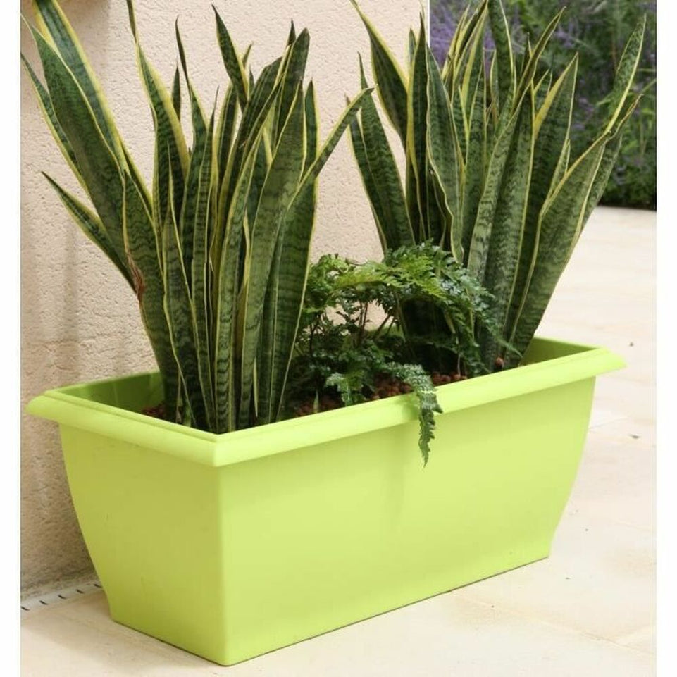 Bloempot Riviera Groen Limoen Plastic Rechthoekig 80 x 40 cm