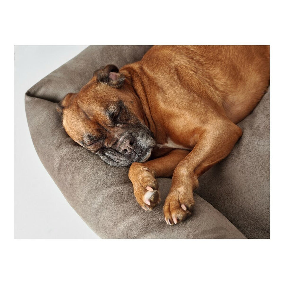 Bank voor honden Hunter Bologna Synthetisch Leer Grijs (70 x 50 cm)