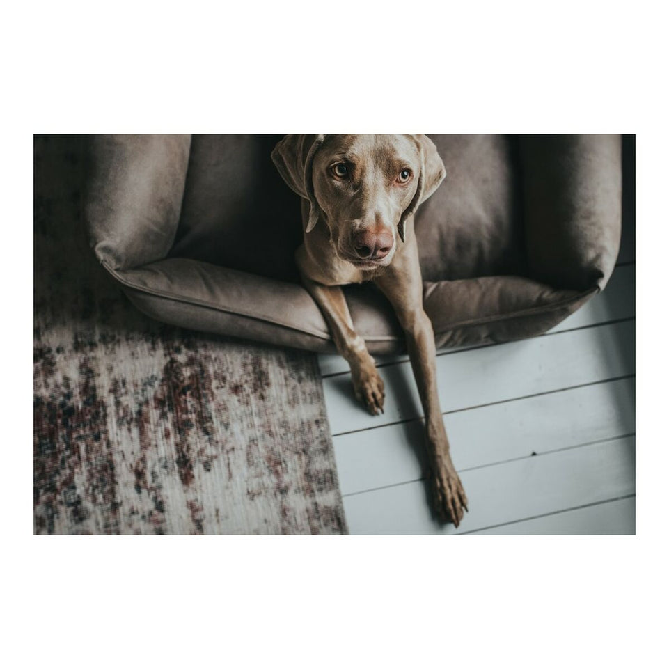 Bank voor honden Hunter Bologna Synthetisch Leer Grijs (70 x 50 cm)