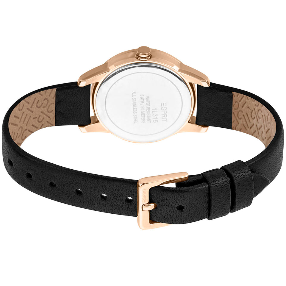 Horloge Dames Esprit ES1L315L0045