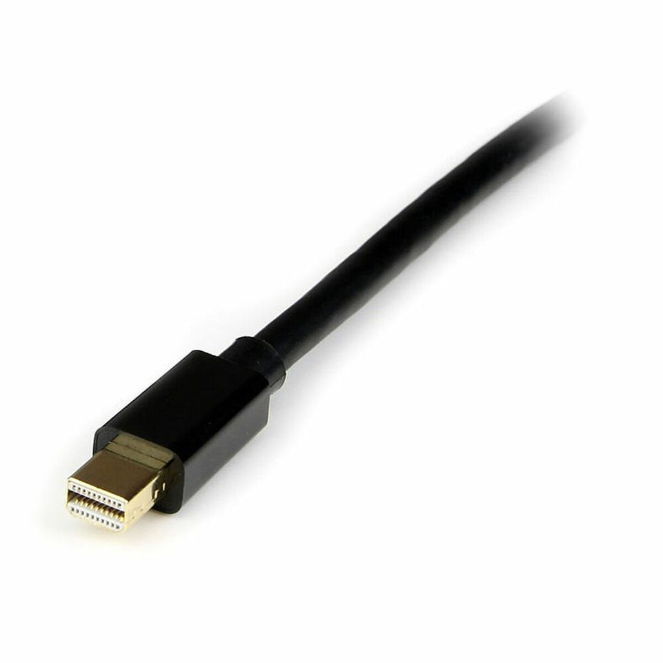 DisplayPort Mini naar DisplayPort Kabel Startech MDP2DPMM4M Zwart 4 m