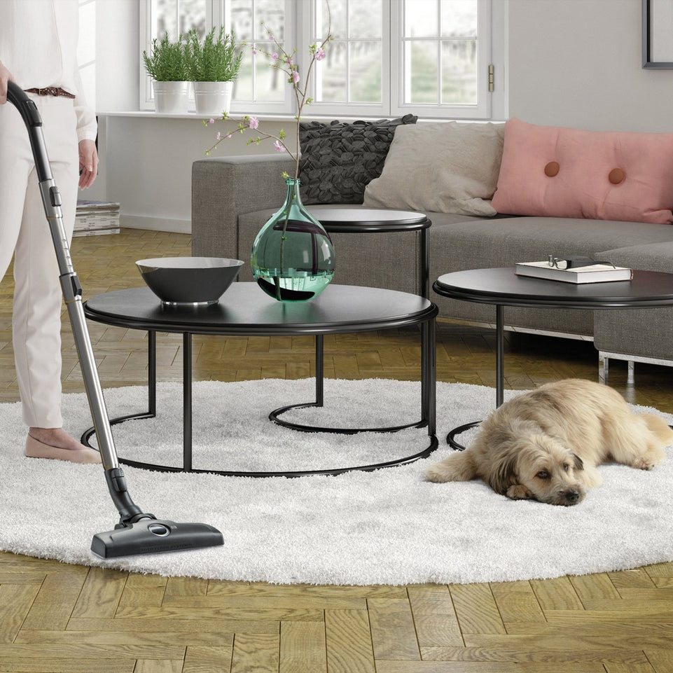 Stofzuiger Electrolux 900274276