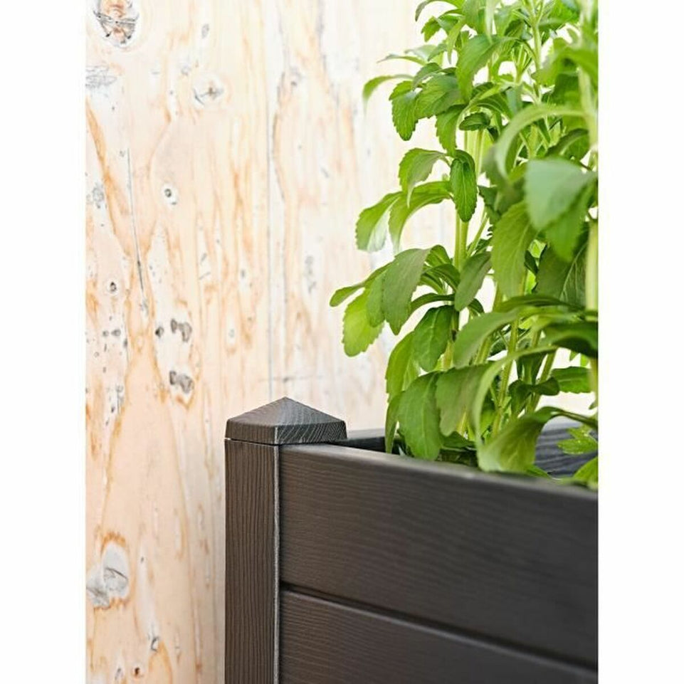 Grondlegger TeraPlast Grijs 40 x 100 cm