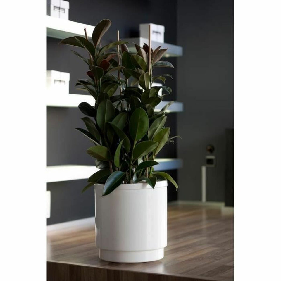 Bloempot Plastiken Wit Ø 32 cm