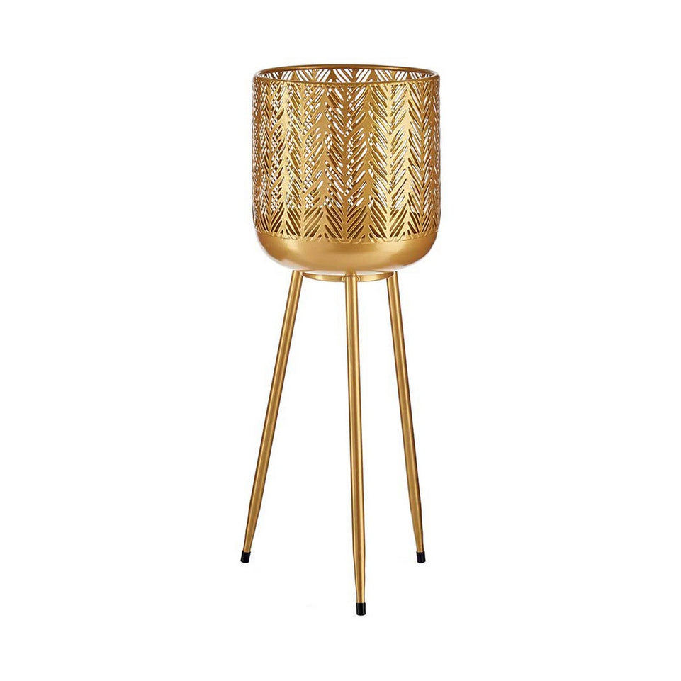 Plantenbakkenset Gouden Ijzer
