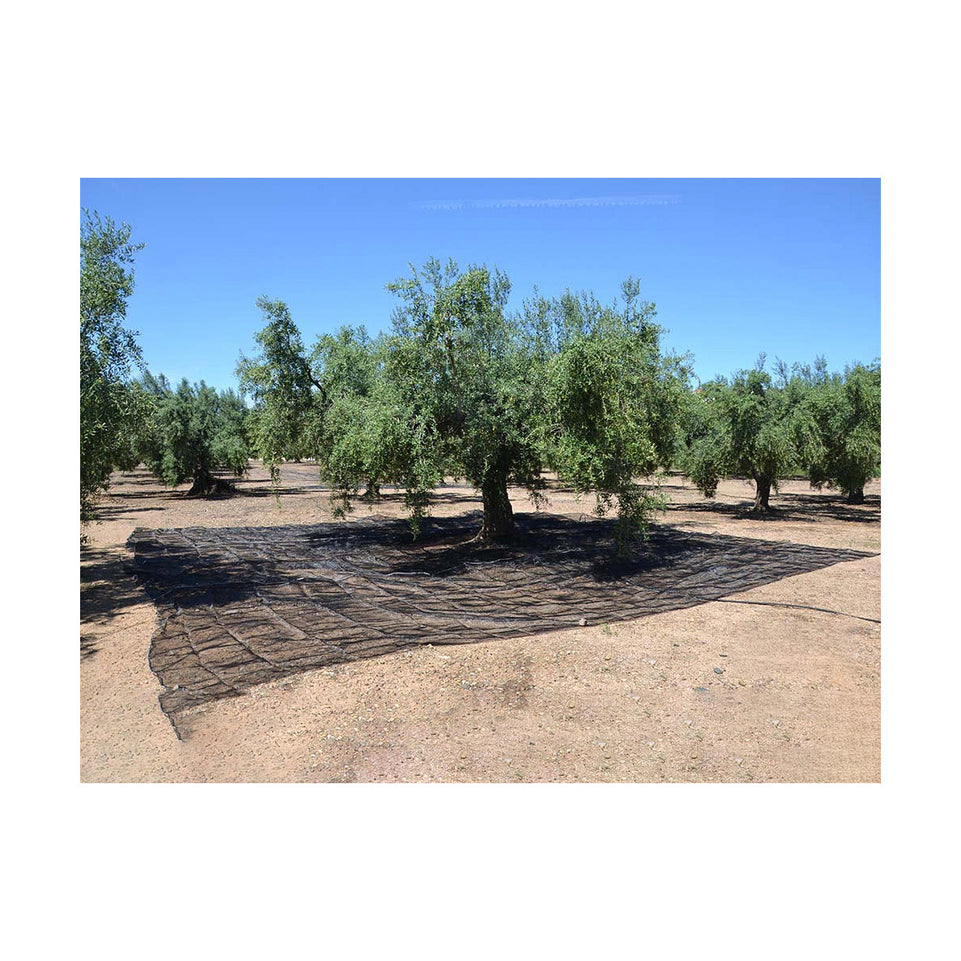 Beschermend dekzeil Zwart Polypropyleen (5 x 8 m)