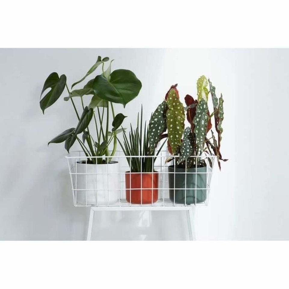 Bloempot Elho Rond Antraciet Plastic Ø 30 cm