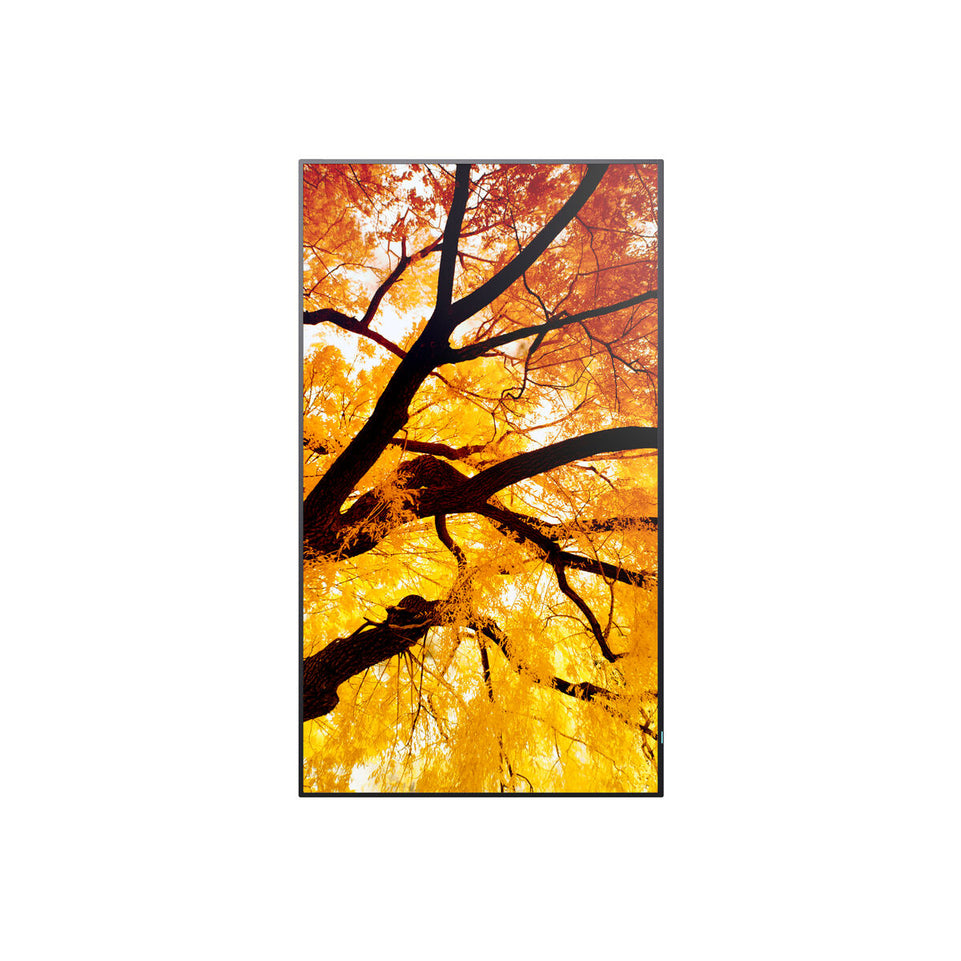 V3H83D93D47D5C06C7A552D43FDE42682ACR7466252P1