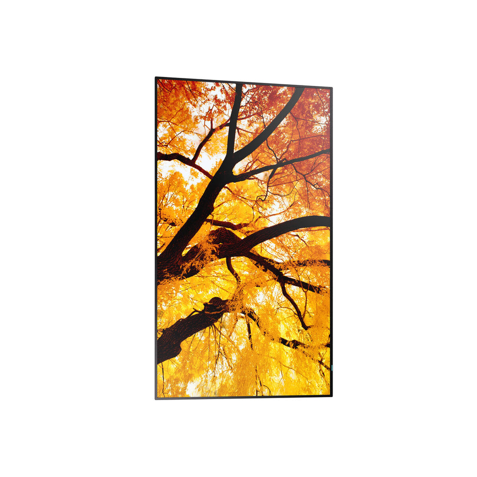 V4HFD3B2153E3B8B0D0FD5D254706506529R7466256P5