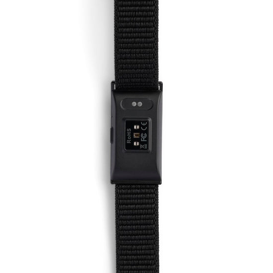 V2H6C58164B5118CE6E4FAFFFA89915D4C1R7477288P2