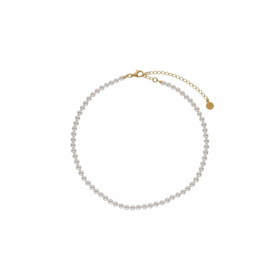 V5H1B65A34380E6C743896F2C39699CEA61R6188115P1